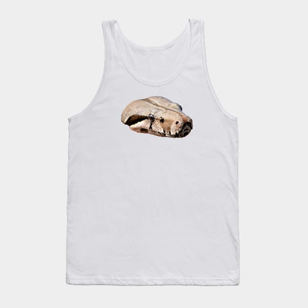 Boa Snake Head / Swiss Artwork Photography Tank Top by RaphaelWolf